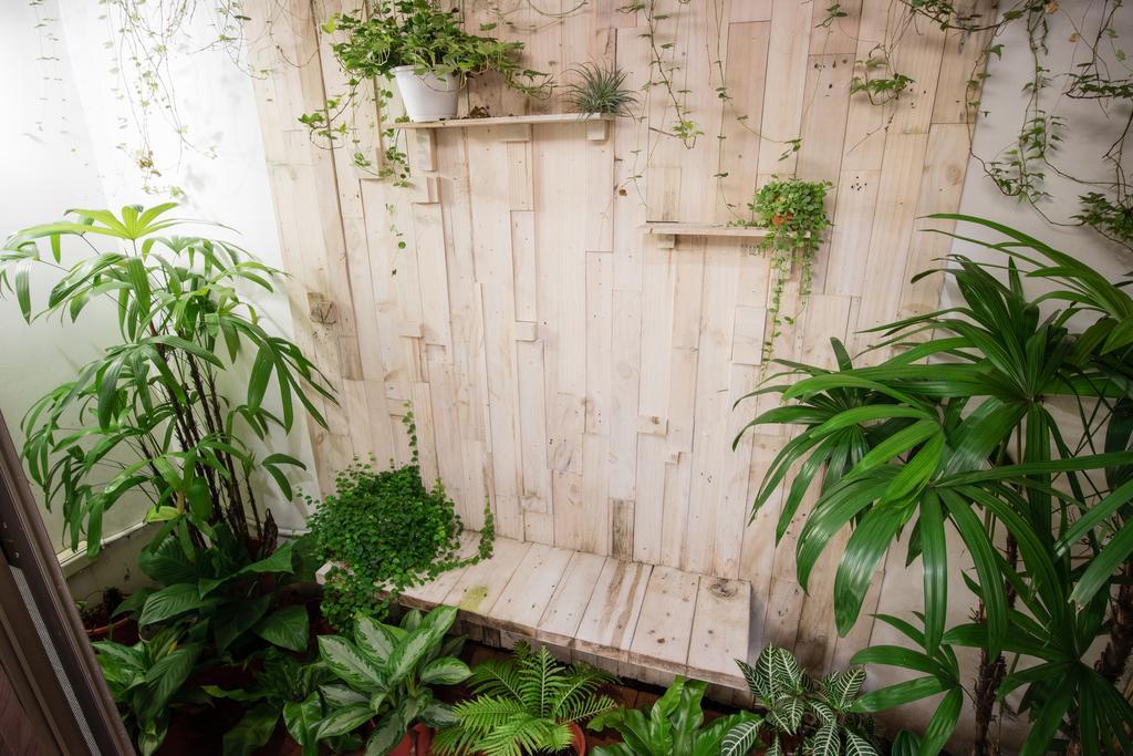 Cozy Cozy Hostel 타이난 외부 사진